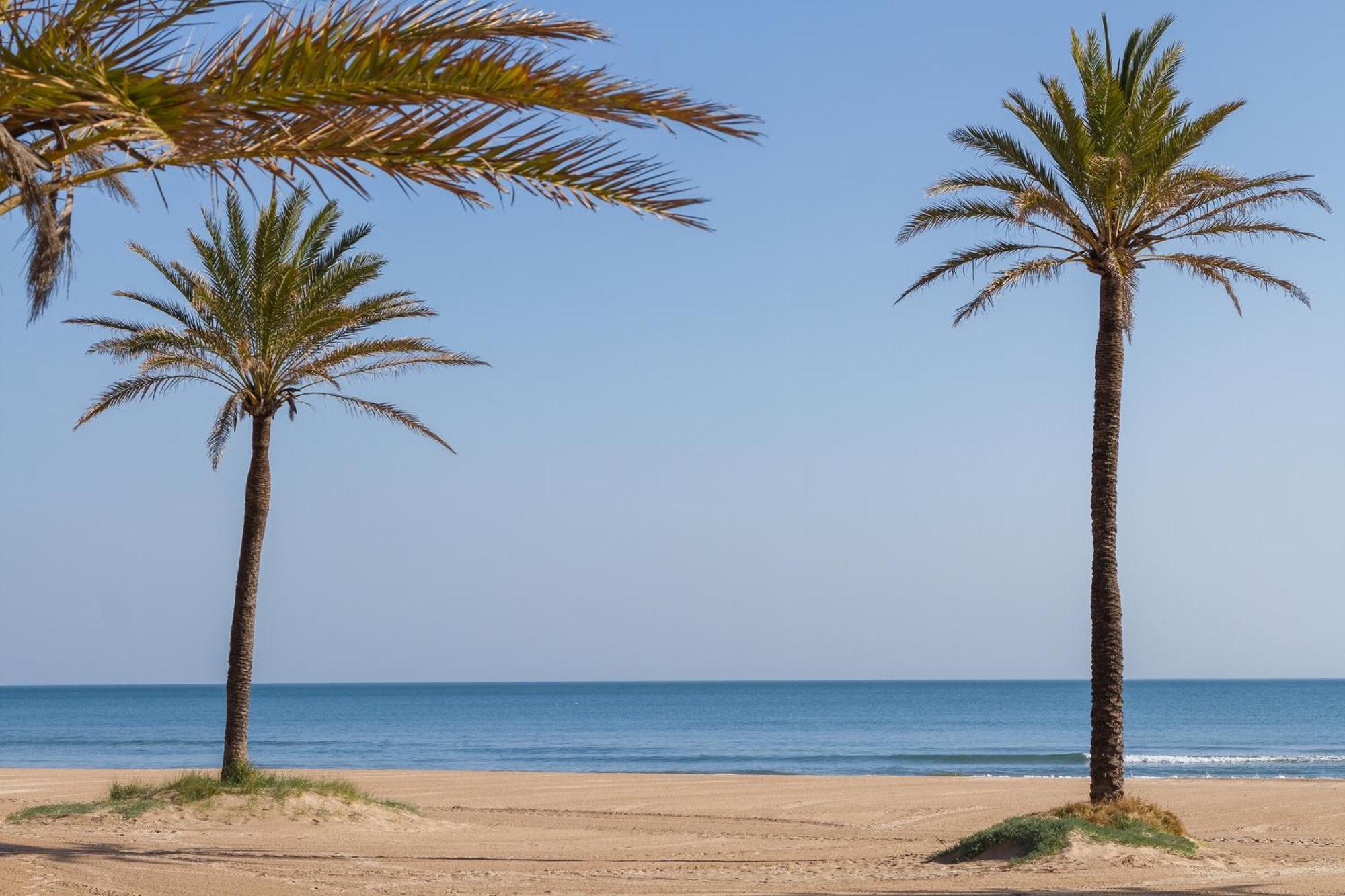 Villa Luny Playa Gandia Playa de Gandia Eksteriør bilde